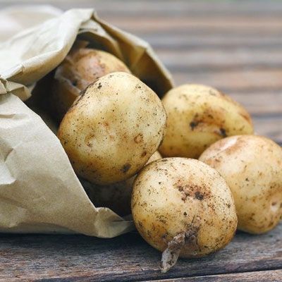 A Guide to Chitting Seed Potatoes