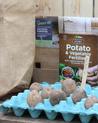 A Guide to Chitting Seed Potatoes