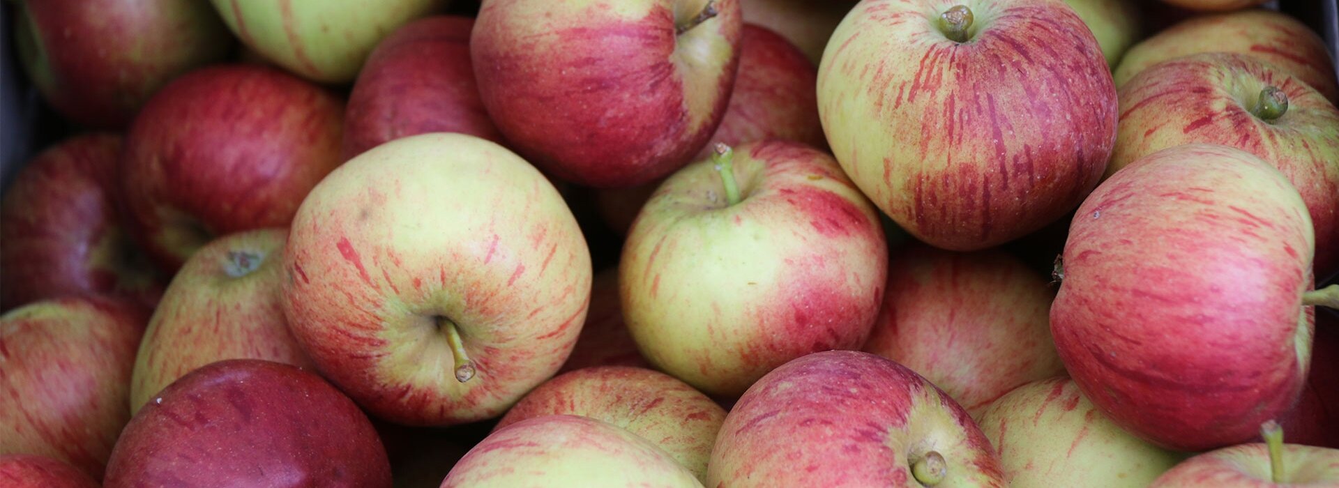 Apple Weekend 2025 APPLE WEEKEND 2026