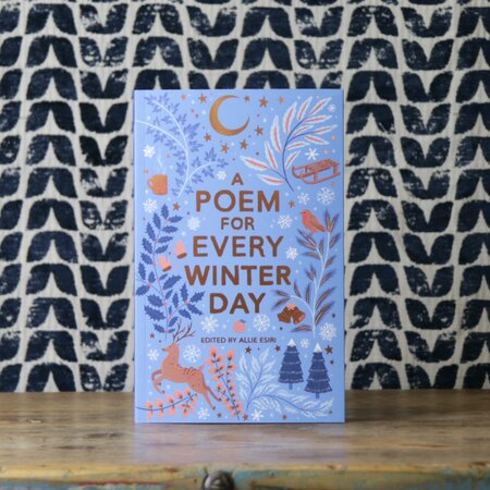 A Poem for Every Winter Day by Allie Esiri