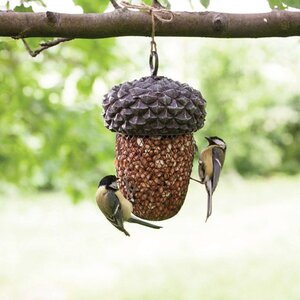 Acorn Bird Feeder