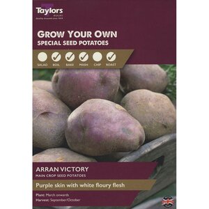 Arran Victory Main Crop Potatoes (Pack of 10 Tubers)