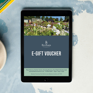 Beetham Nurseries E-Gift Voucher