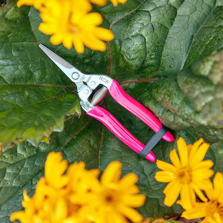 Burgon & Ball FloraBrite® Pink Bypass  Flower & Fruit Snip