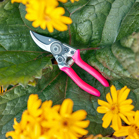 Burgon & Ball FloraBrite® Pink Pocket Pruner