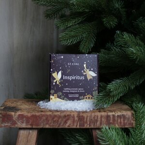 Inspiritus St. Eval Scented Christmas Tealights (9 per pack)