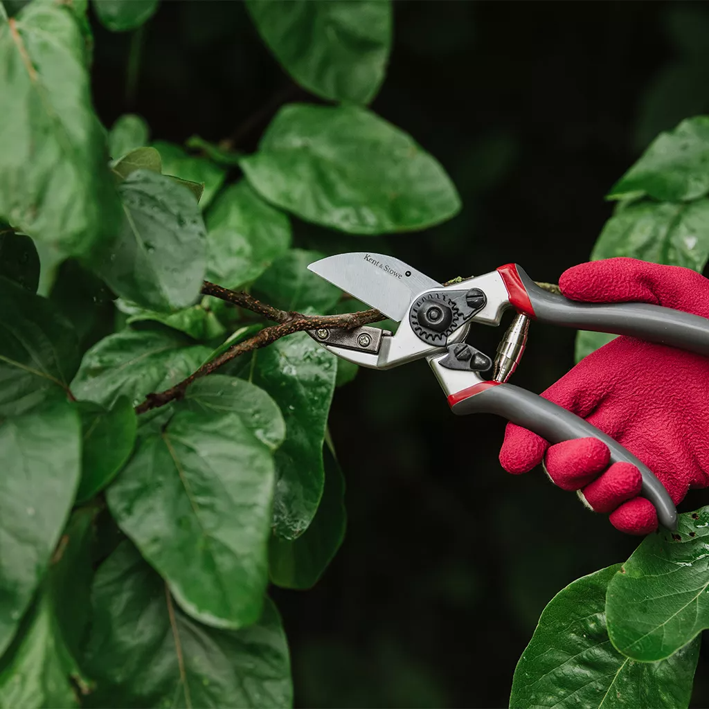 Kent & Stowe Professional Anvil Secateurs - Beetham Nurseries