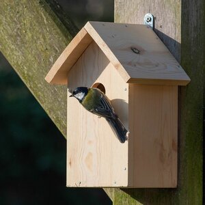 National Trust Build Your Own Nest Box Kit