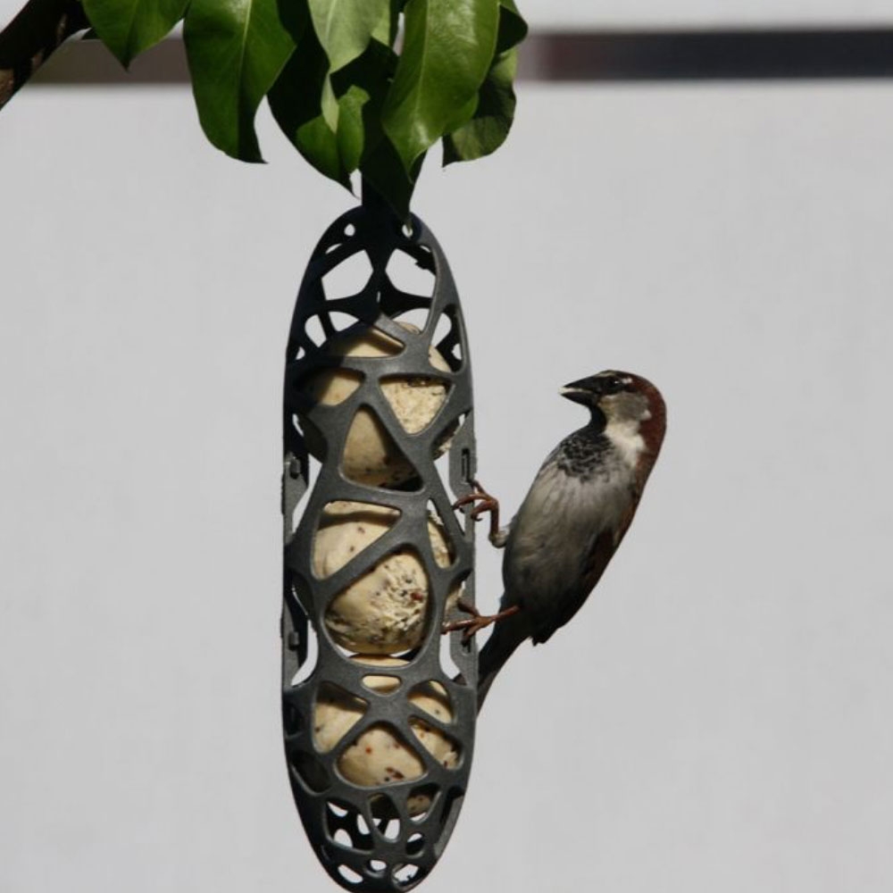 national trust fat ball feeder