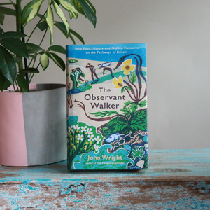 Observant Walker: Wild Wood Nature and Hidden Treasures Book by John Wright