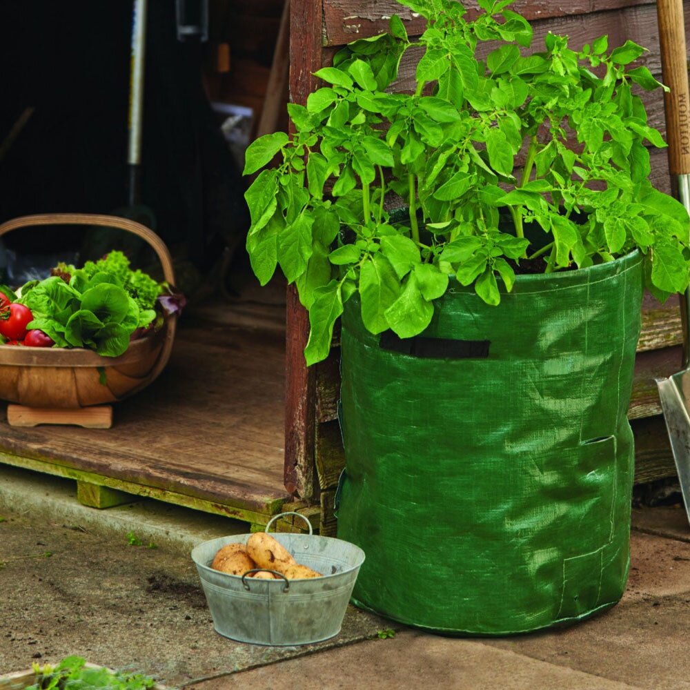 Heavy Duty Planter Bags | The Seed Collection