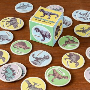 Prehistoric Land Memory Game (24 Pieces)