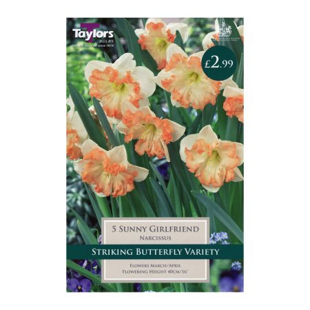 Taylors Narcissi Sunny Girlfriend Bulbs (5 per Pack)