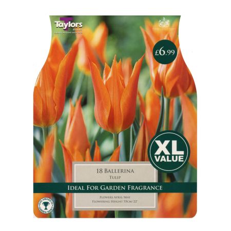 Taylors Tulip Ballerina Bulbs (18 per Pack)