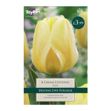 Taylors Tulip Cream Cocktail Bulbs (8 per Pack)