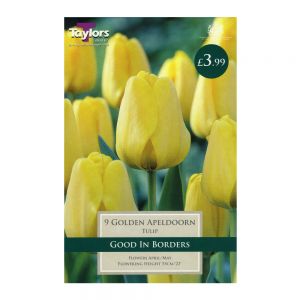 Taylors Tulip Golden Apeldoorn Bulbs (9 per Pack)