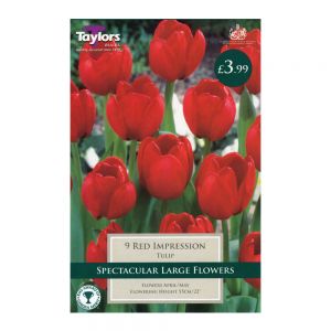 Taylors Tulip Red Impression Bulbs (9 per Pack)