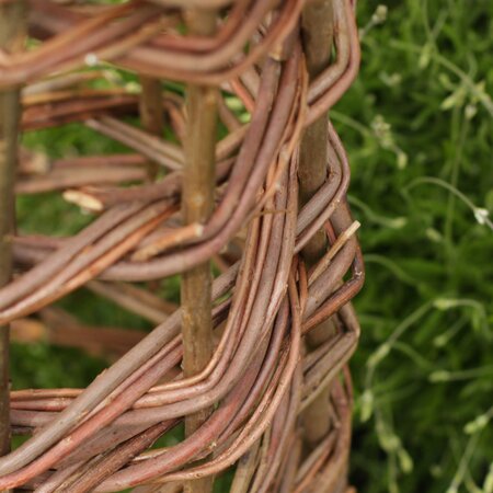 Tom Chambers Willow Wigwam Obelisk - 1.5m