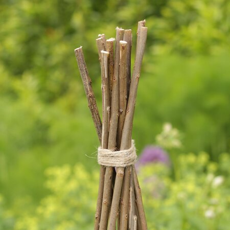 Tom Chambers Willow Wigwam Obelisk - 1.5m