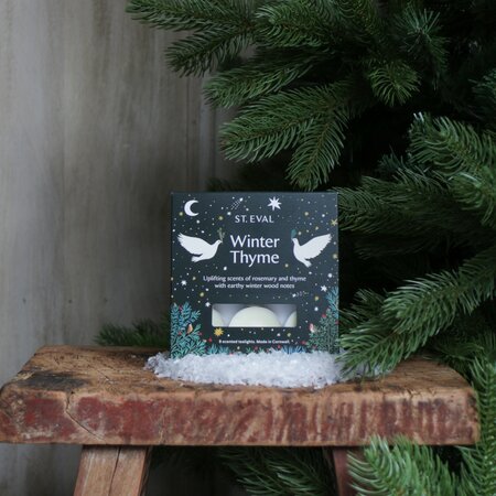 Winter Thyme St. Eval Scented Christmas Tealights (9 per pack)